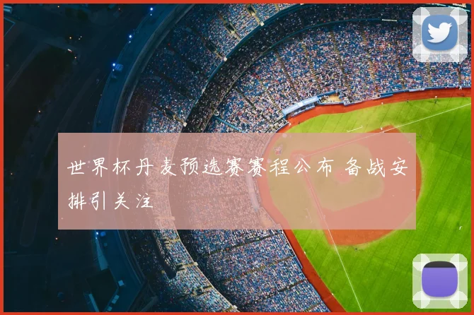 世界杯丹麦预选赛赛程公布 备战安排引关注